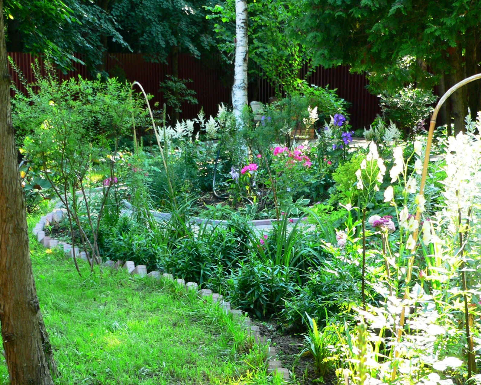 Проект Дачная Поляна